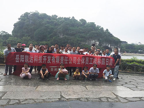 岳阳凯达科技开发有限责任公司,油加氢催化剂载体销售,干胶粉生产,吸附剂销售